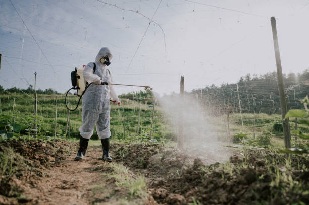 Best Commercial Pest Control Services  in Pittston, PA