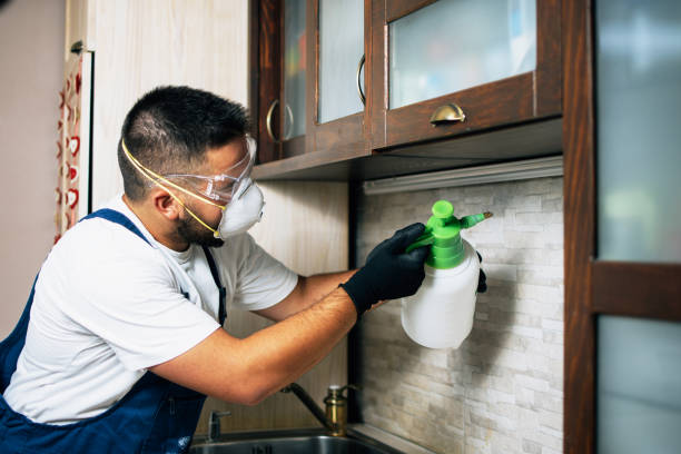 Best Affordable Pest Control Services  in Pittston, PA