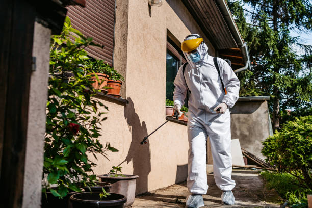Wildlife Control Services in Pittston, PA