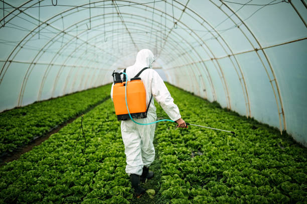 Best Affordable Exterminators  in Pittston, PA
