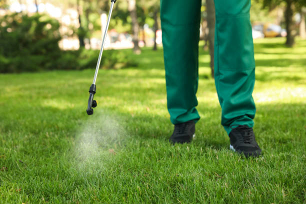 Pest Control Cost in Pittston, PA
